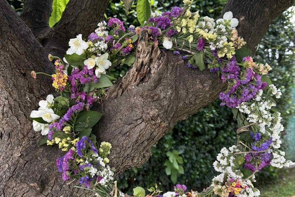 εικόνα_Viber_2025-05-02_11-49-13-697
